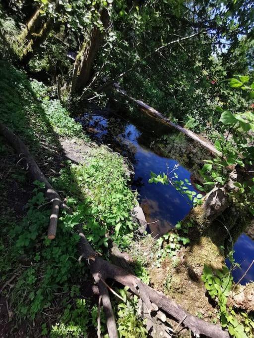 Glan-Yr-Afon Cottage Two Bedrooms Sennybridge エクステリア 写真