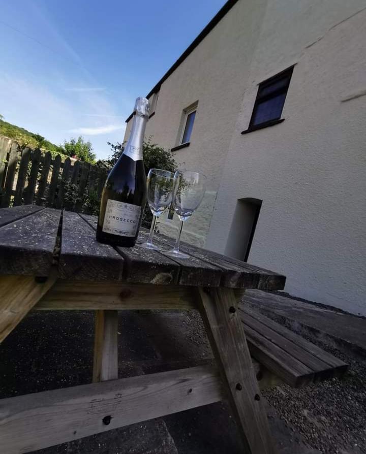 Glan-Yr-Afon Cottage Two Bedrooms Sennybridge エクステリア 写真